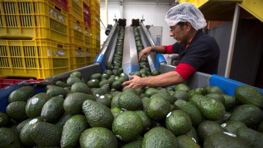 Procesadoras alimentos