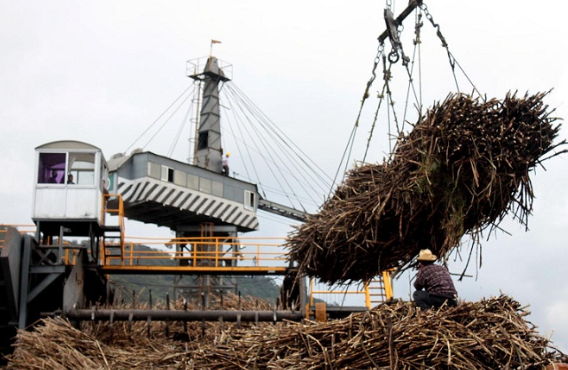 Agroindustria
